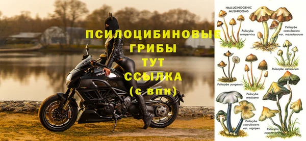 героин Верея