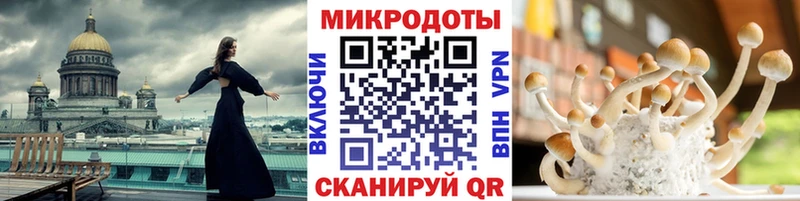 где купить   Нарьян-Мар  Псилоцибиновые грибы мухоморы 